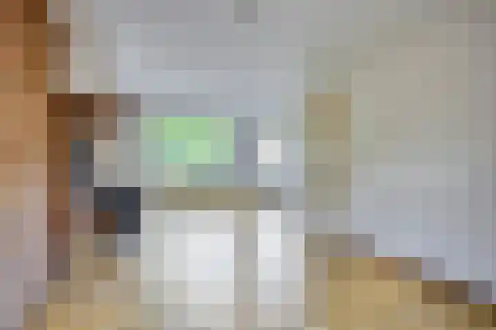 Wolvendijk 105 Eindhoven thumbnail 11