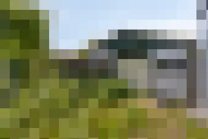 Wolvendijk 105 Eindhoven thumbnail 31