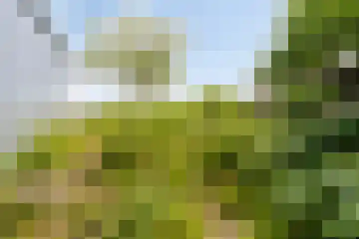 Wolvendijk 105 Eindhoven thumbnail 32