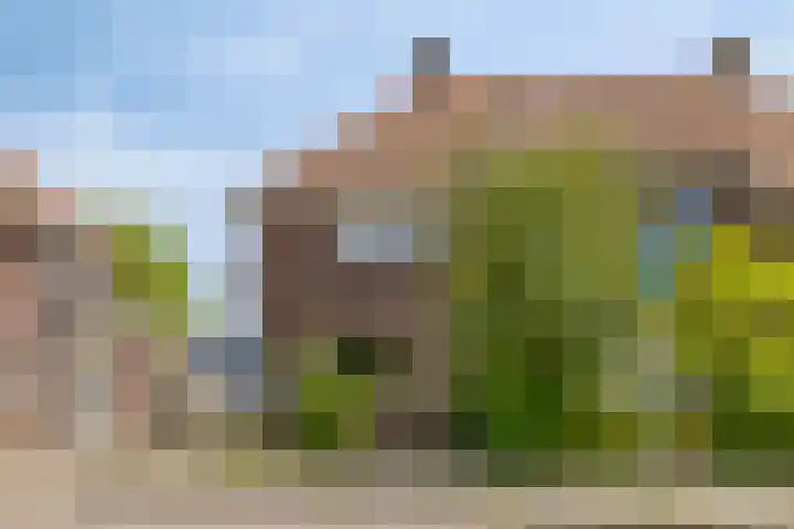 Wolvendijk 105 Eindhoven thumbnail 33