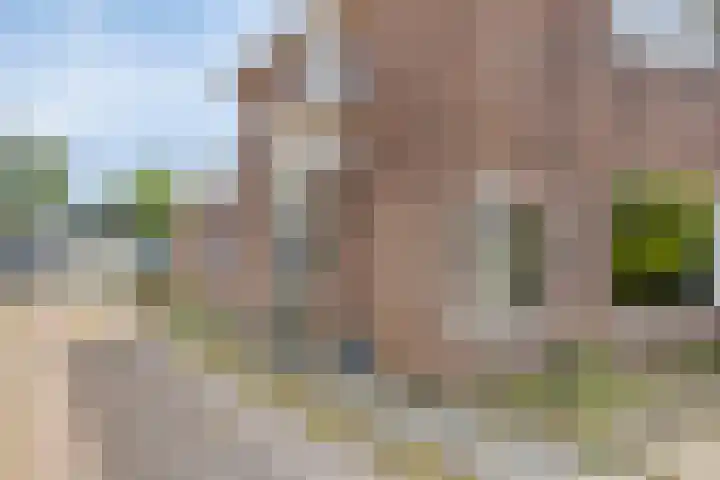 Wolvendijk 105 Eindhoven thumbnail 7