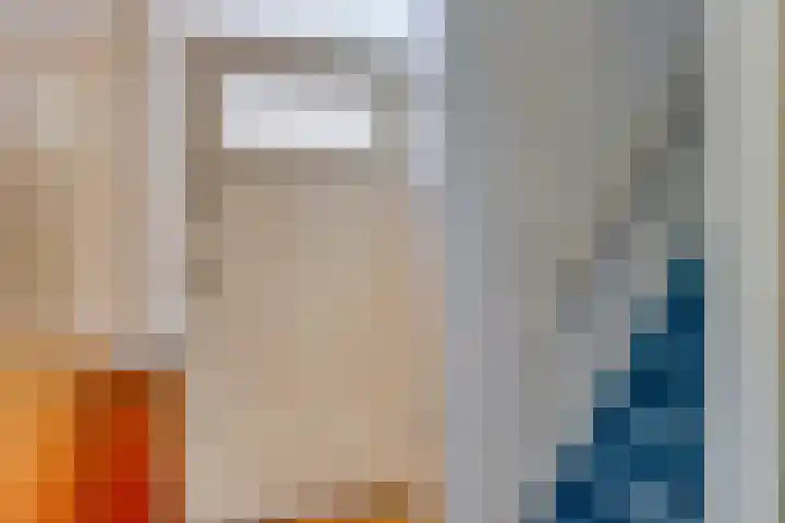 Wolvendijk 105 Eindhoven thumbnail 8