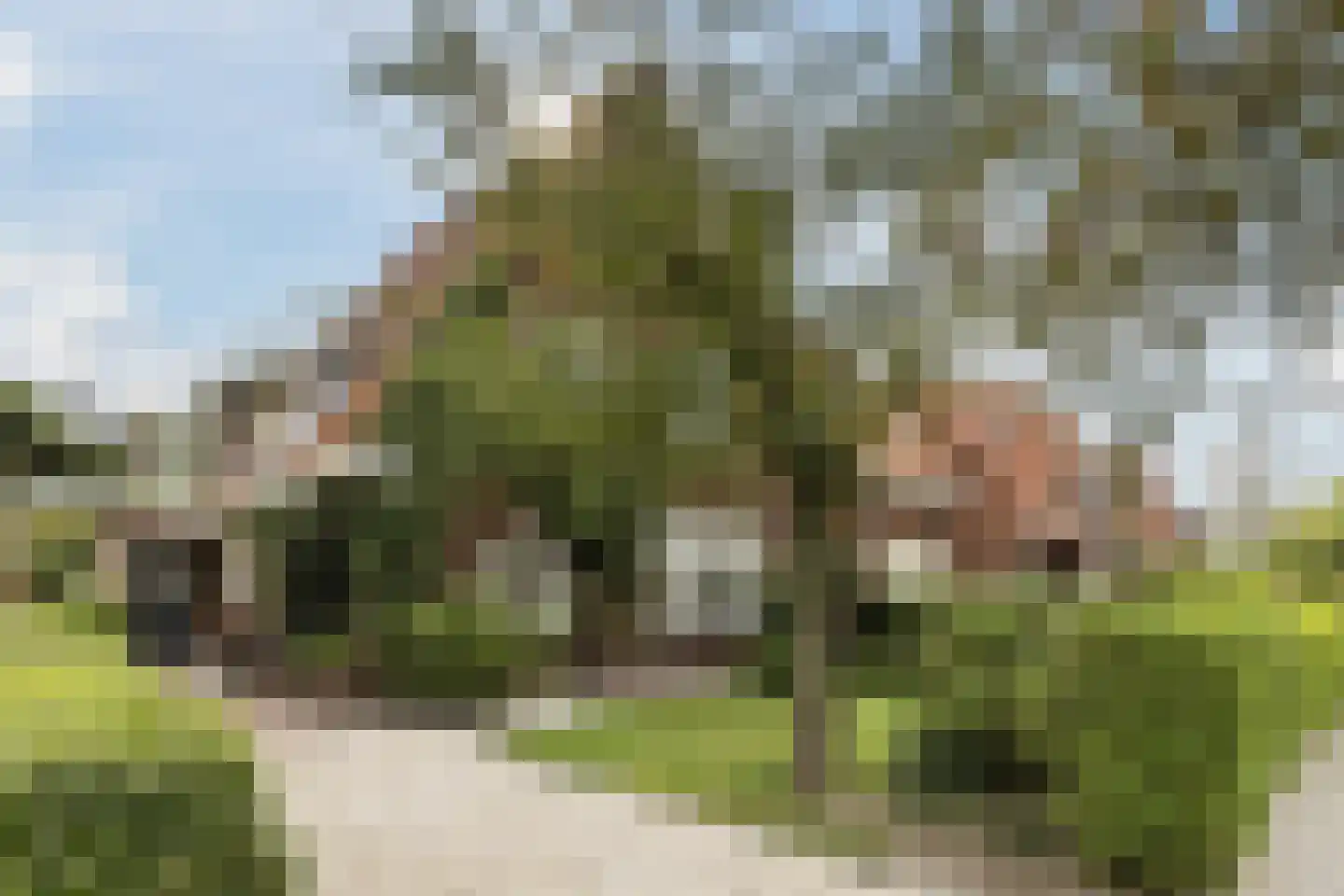 Wolvendijk 119 Eindhoven