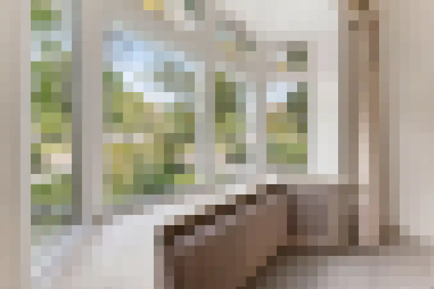 Wolvendijk 119 Eindhoven thumbnail 11