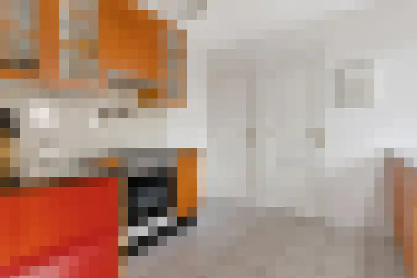 Wolvendijk 119 Eindhoven thumbnail 14