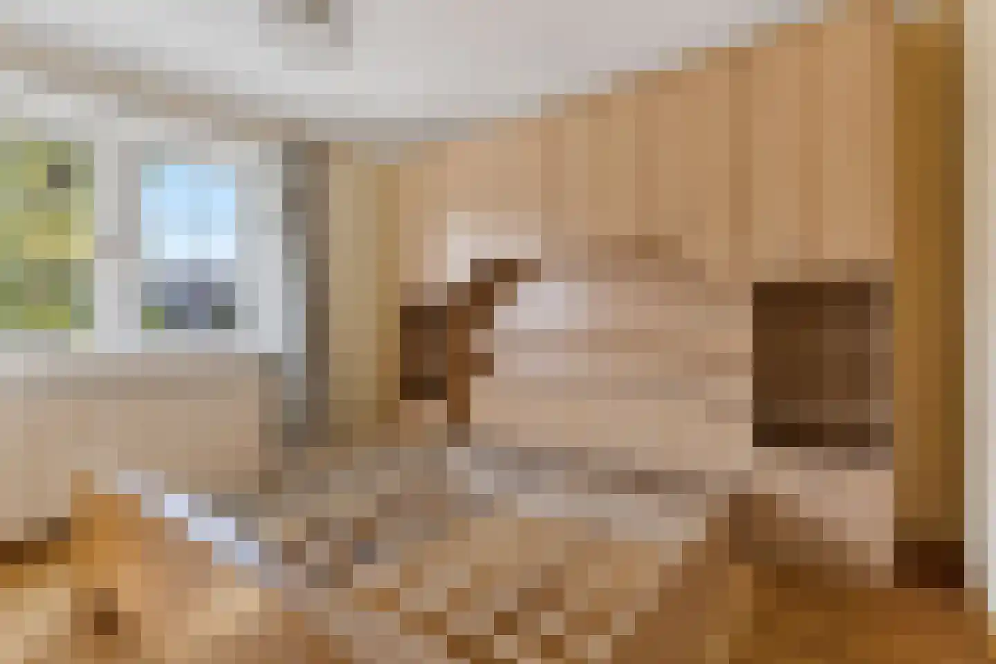Wolvendijk 119 Eindhoven thumbnail 25