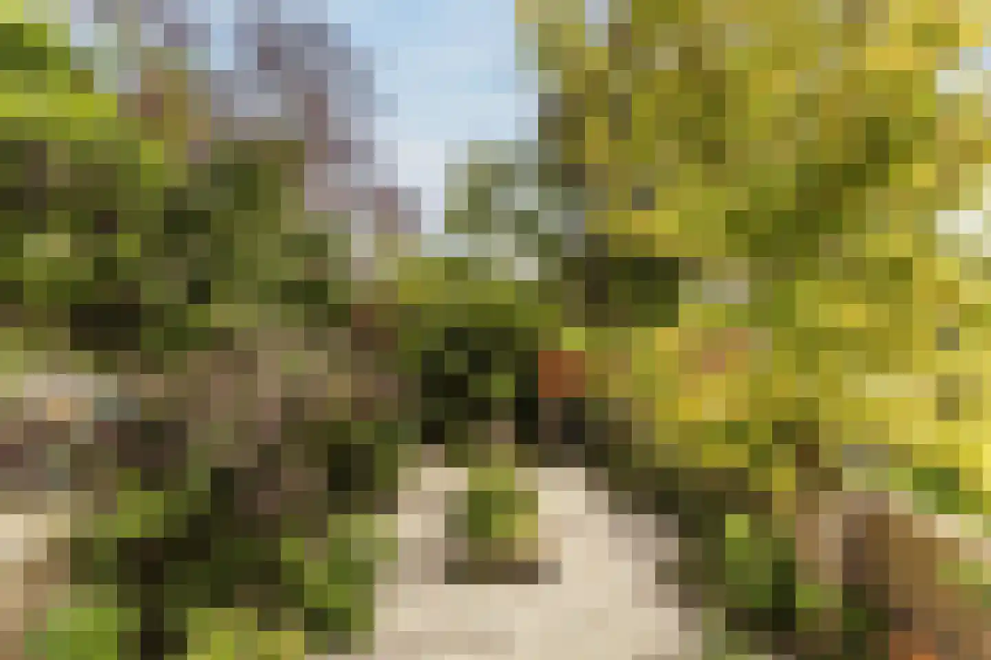 Wolvendijk 119 Eindhoven thumbnail 35