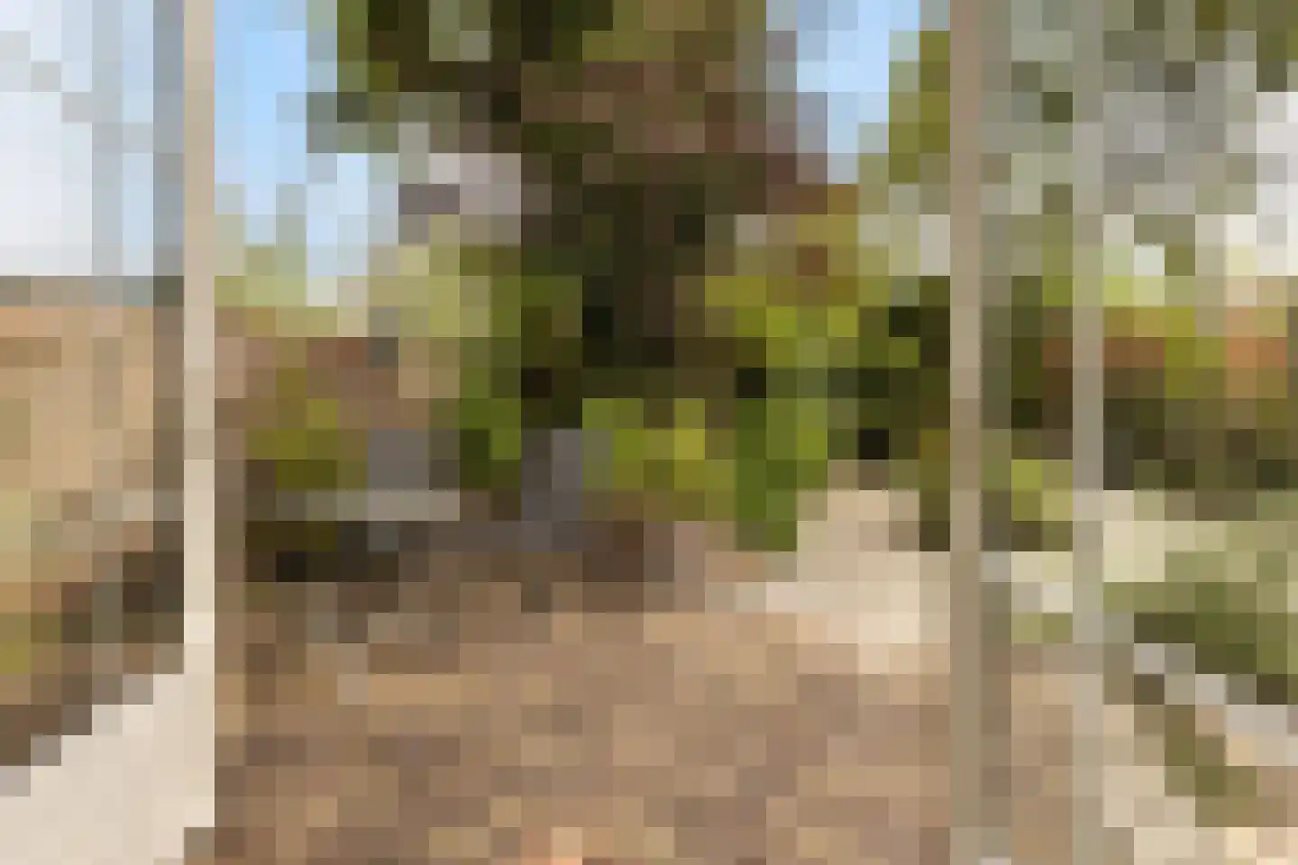 Wolvendijk 119 Eindhoven thumbnail 36