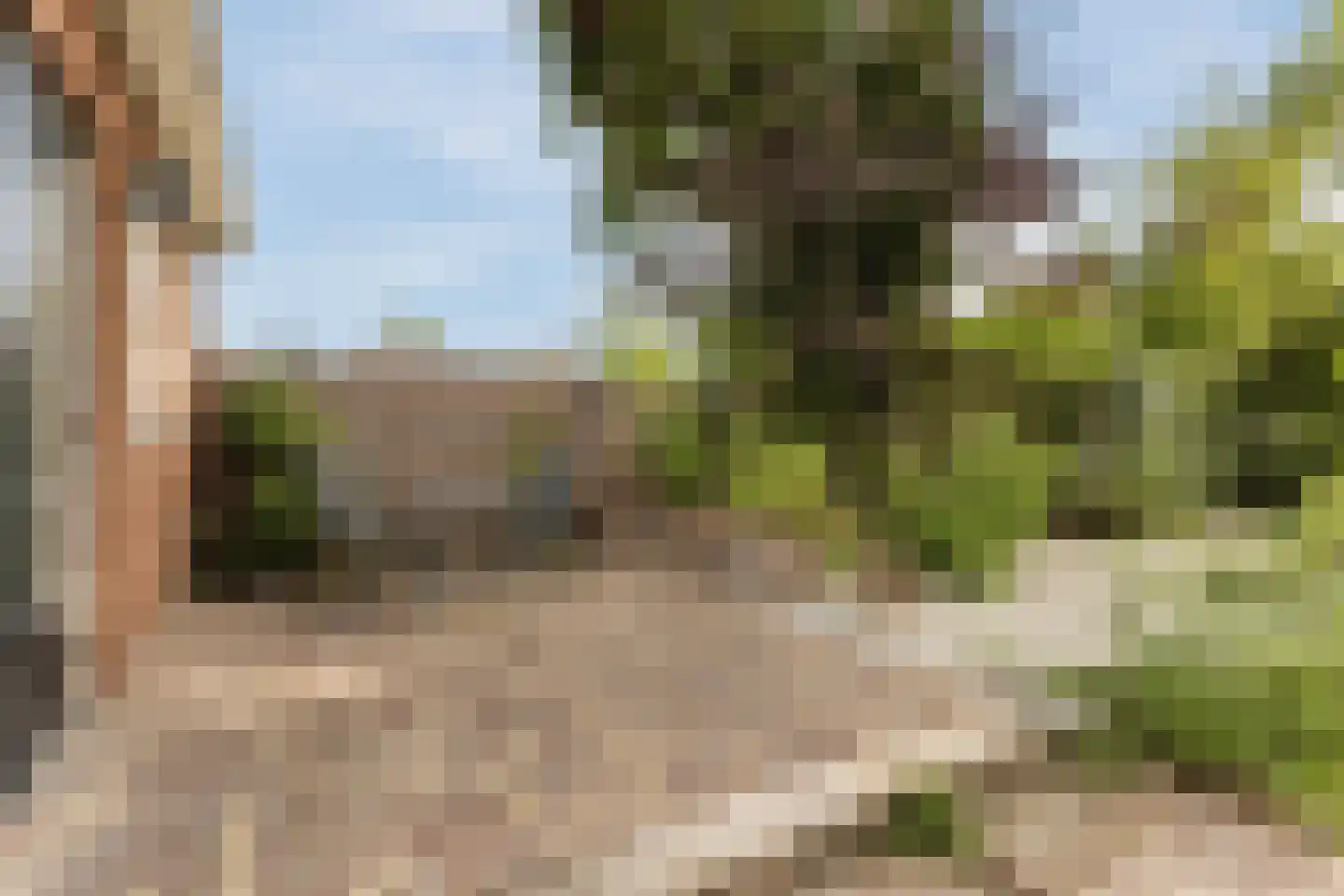 Wolvendijk 119 Eindhoven thumbnail 38