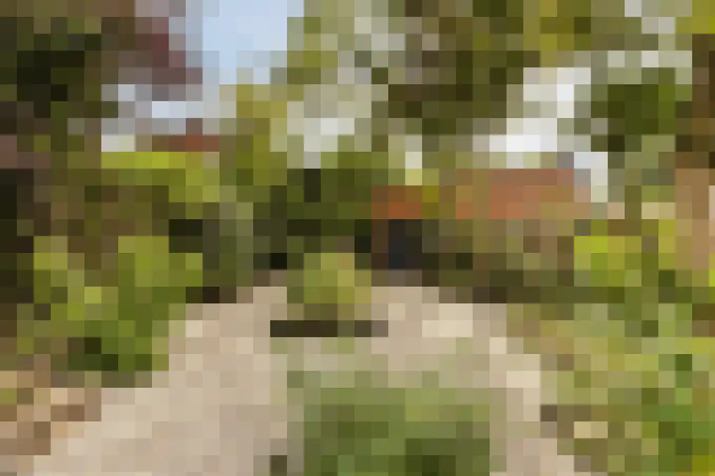 Wolvendijk 119 Eindhoven thumbnail 40