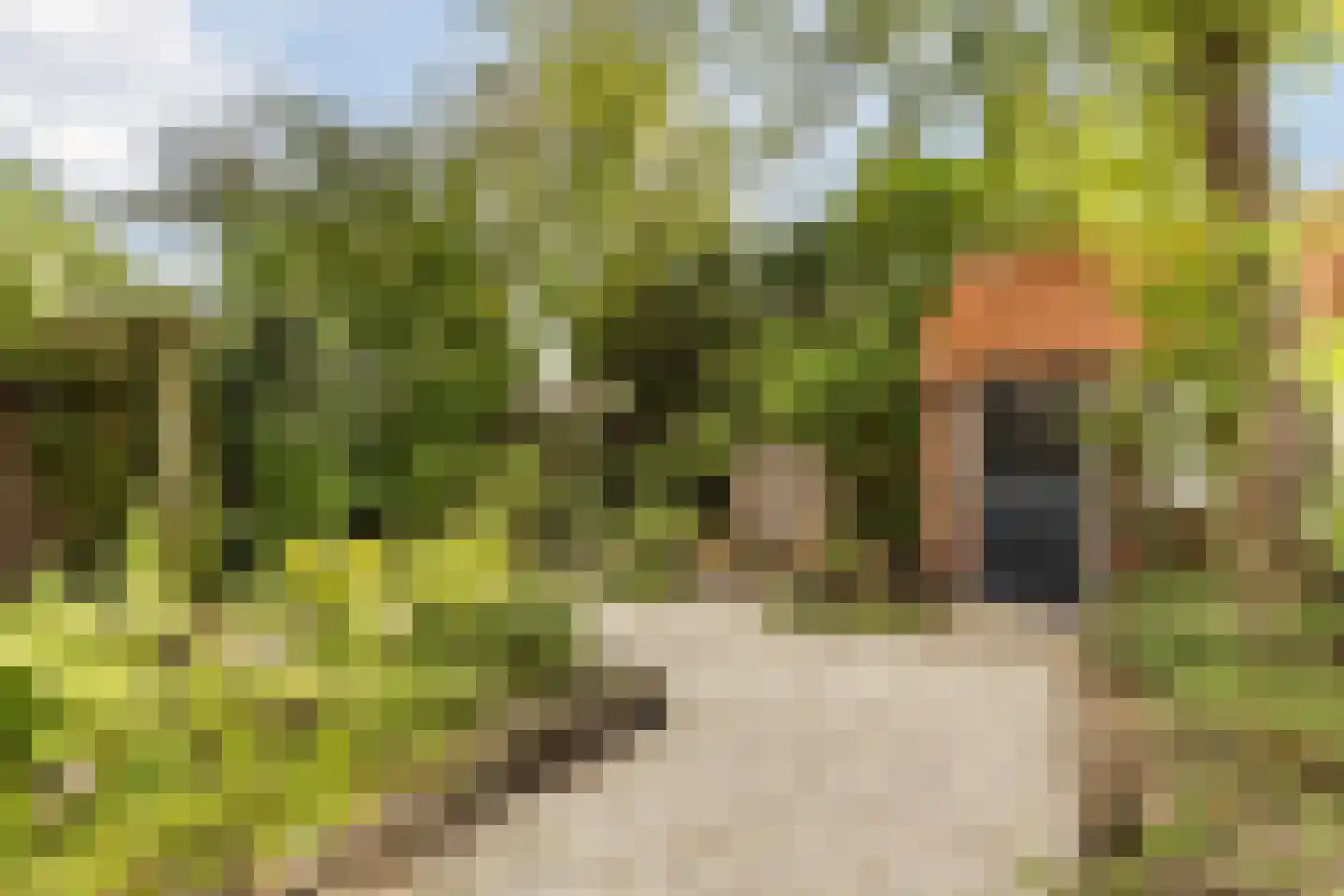 Wolvendijk 119 Eindhoven thumbnail 41