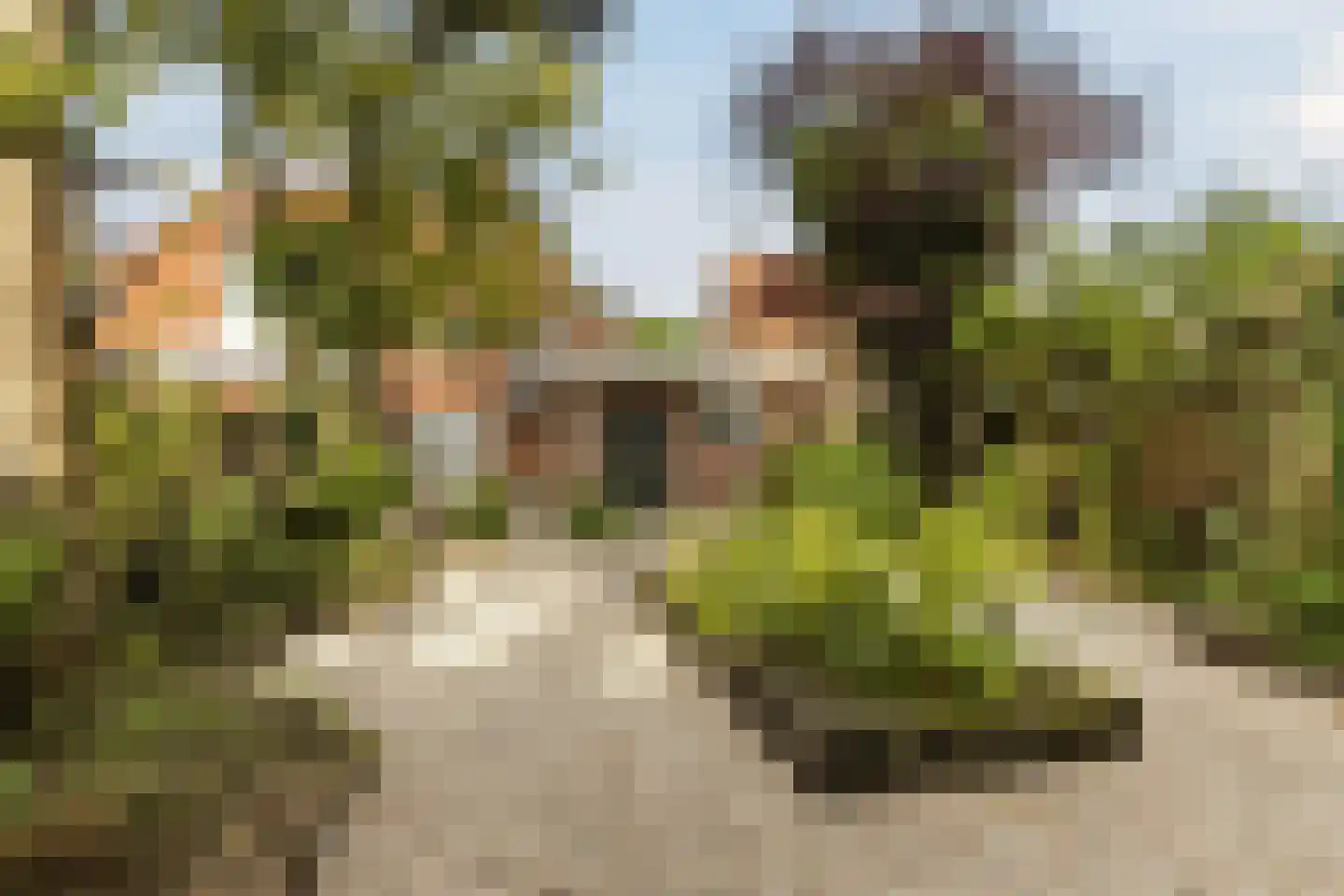 Wolvendijk 119 Eindhoven thumbnail 42