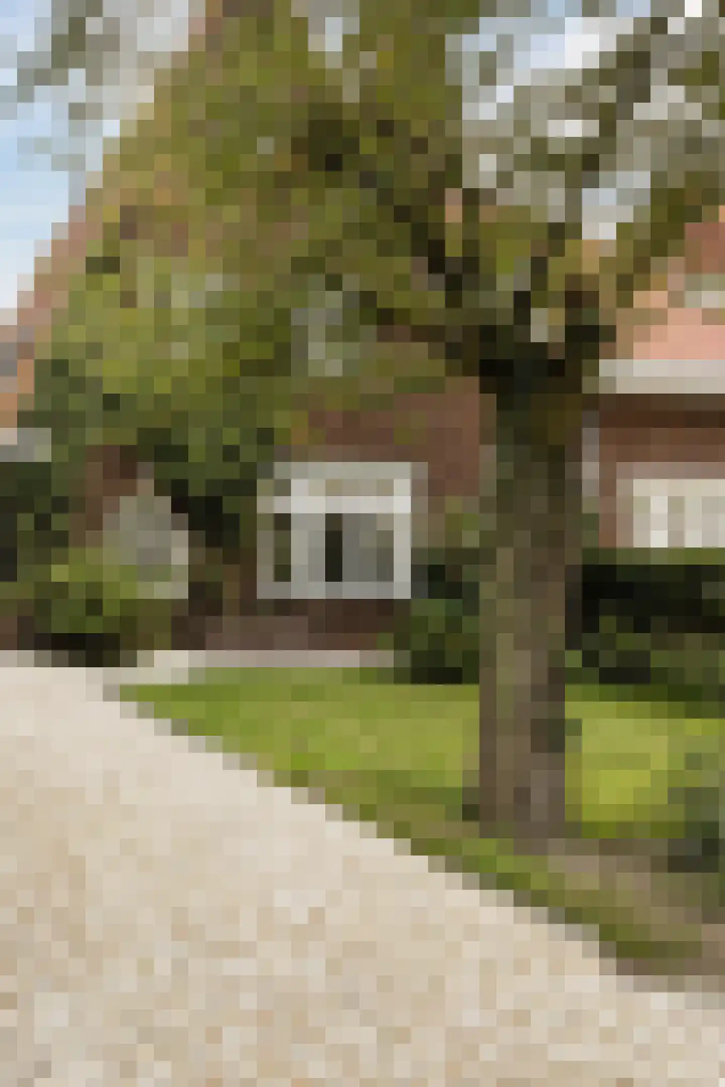 Wolvendijk 119 Eindhoven thumbnail 5
