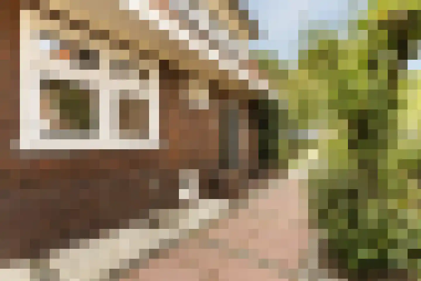 Wolvendijk 119 Eindhoven thumbnail 8