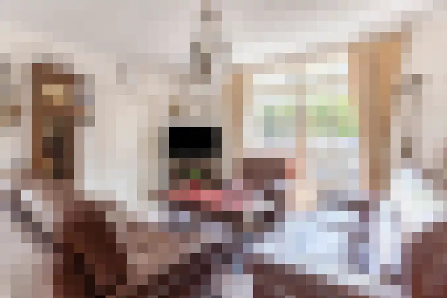 Wolvendijk 157 Eindhoven thumbnail 7