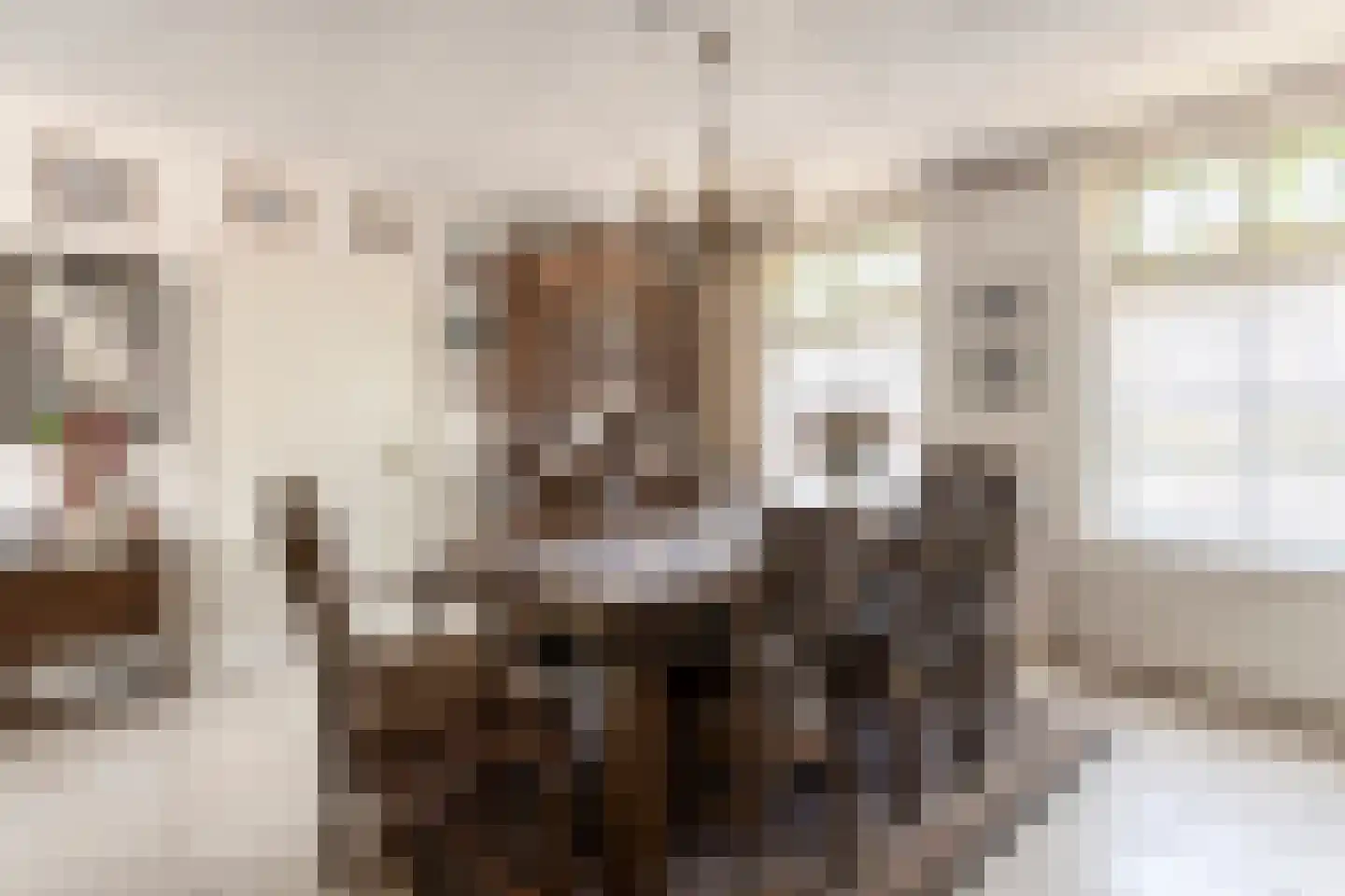 Wolvendijk 157 Eindhoven thumbnail 9