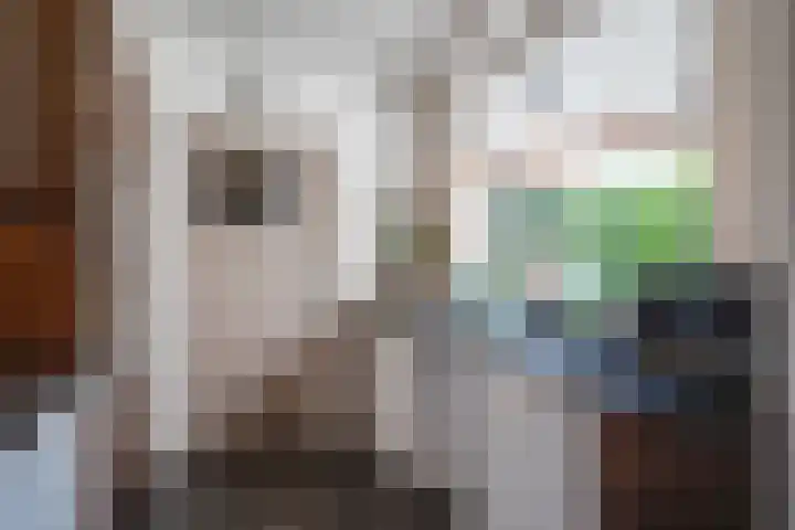 Wolvendijk 27 Eindhoven thumbnail 11