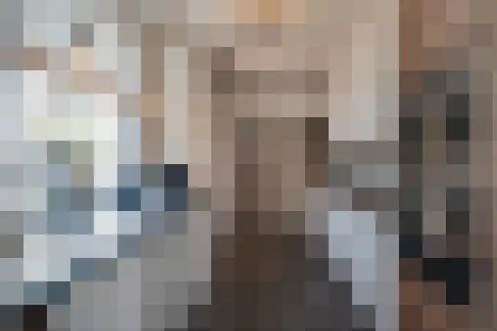 Wolvendijk 27 Eindhoven thumbnail 12