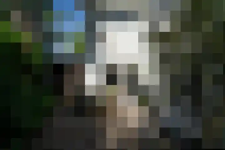 Wolvendijk 27 Eindhoven thumbnail 16