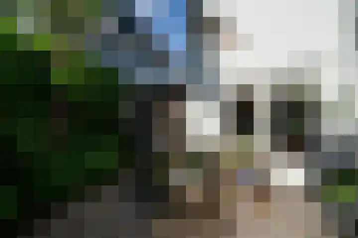 Wolvendijk 27 Eindhoven thumbnail 17