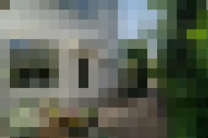 Wolvendijk 27 Eindhoven thumbnail 18