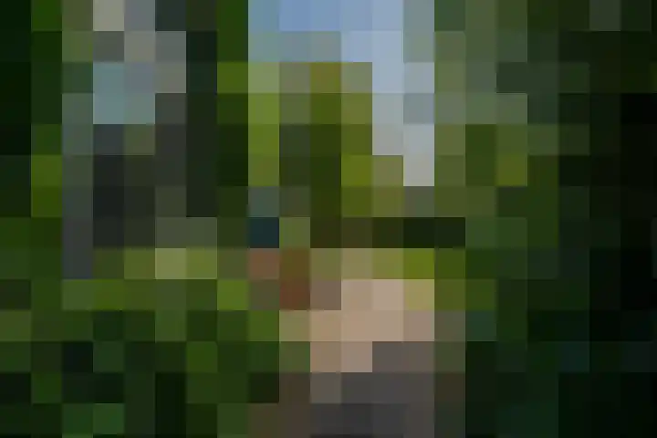 Wolvendijk 27 Eindhoven thumbnail 19