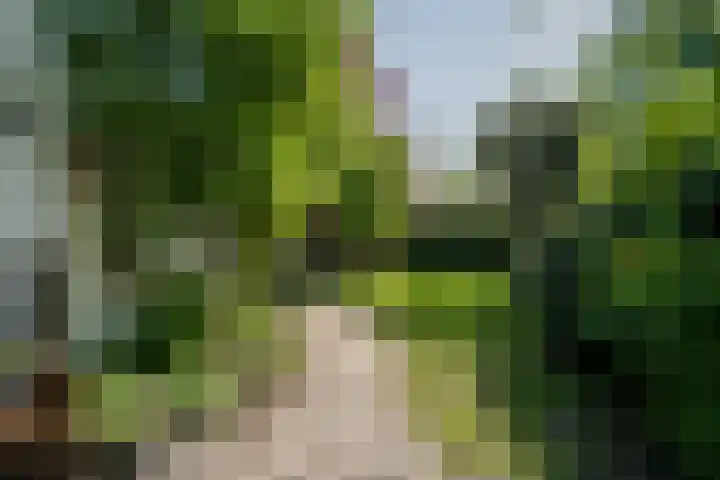 Wolvendijk 27 Eindhoven thumbnail 20