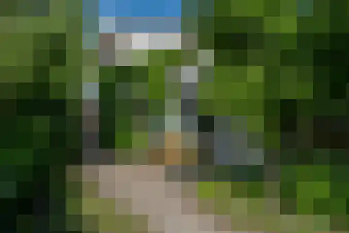 Wolvendijk 27 Eindhoven thumbnail 21
