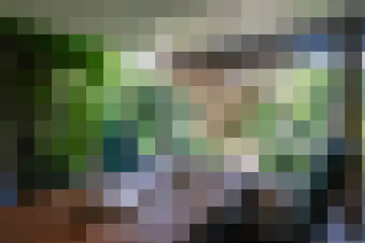 Wolvendijk 27 Eindhoven thumbnail 25