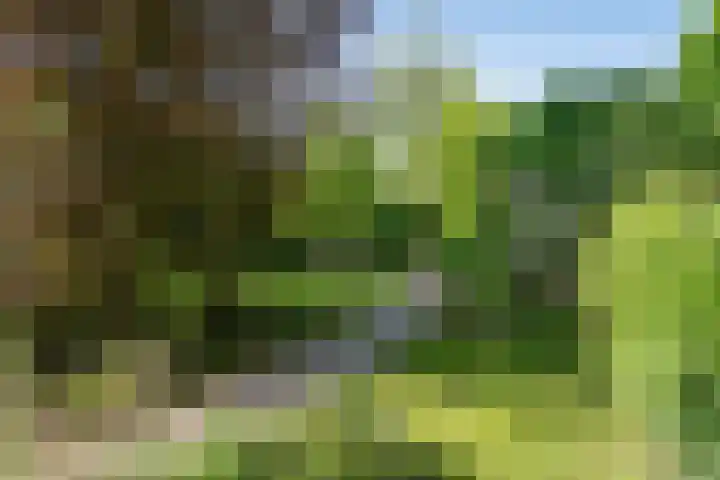 Wolvendijk 27 Eindhoven thumbnail 27