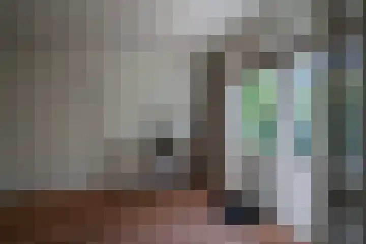 Wolvendijk 27 Eindhoven thumbnail 32