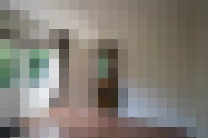Wolvendijk 27 Eindhoven thumbnail 33