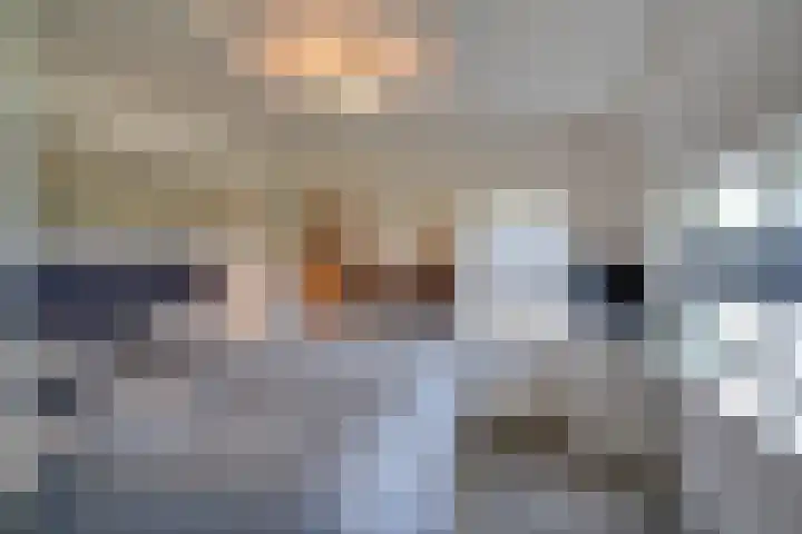 Wolvendijk 27 Eindhoven thumbnail 36