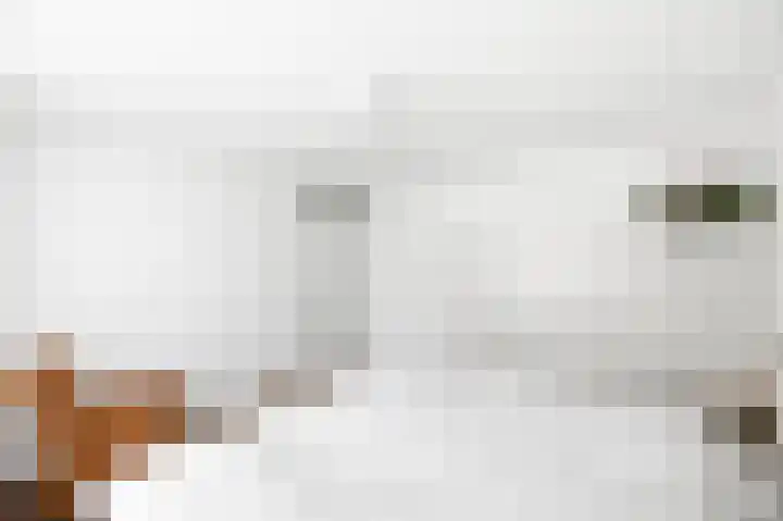 Wolvendijk 27 Eindhoven thumbnail 39