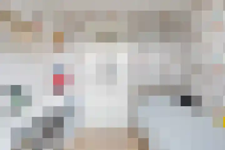 Wolvendonk 36 Oosterhout thumbnail 20