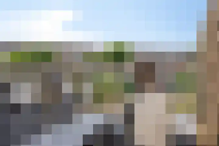 Wolvendonk 36 Oosterhout thumbnail 27