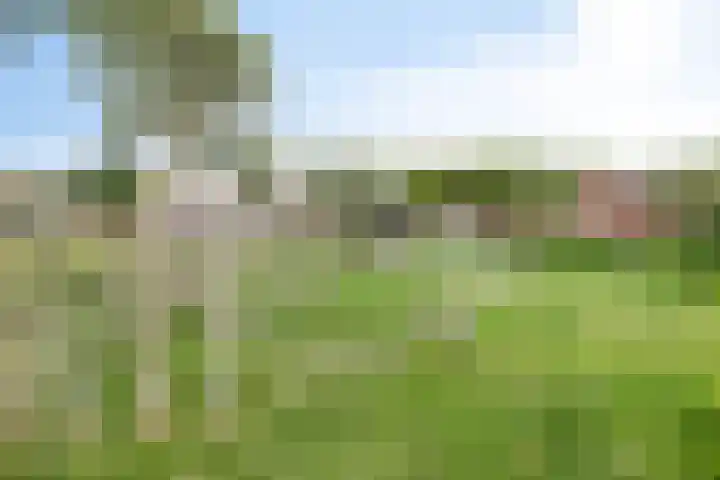 Wolvendonk 36 Oosterhout thumbnail 30