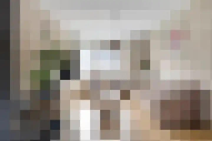 Wolvendonk 36 Oosterhout thumbnail 8