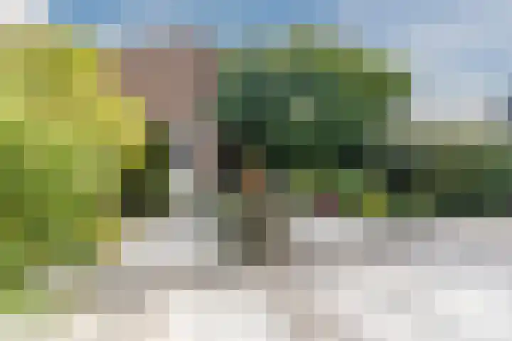 Wolvendonk 47 Oosterhout thumbnail 26