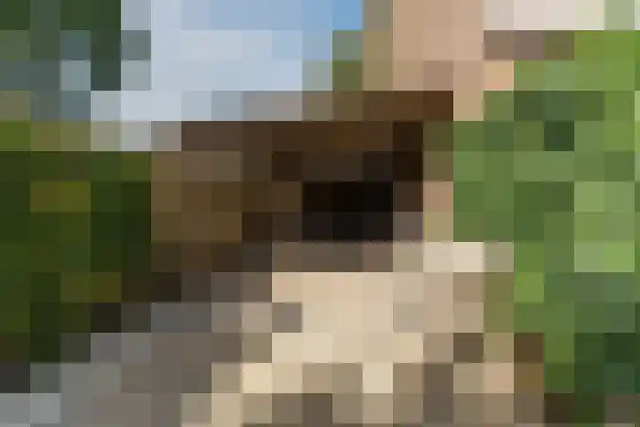 Wolvendonk 47 Oosterhout thumbnail 29