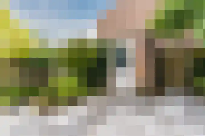 Wolvendonk 47 Oosterhout thumbnail 30