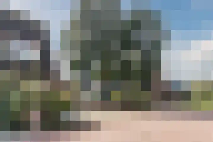 Wolvendonk 47 Oosterhout thumbnail 35