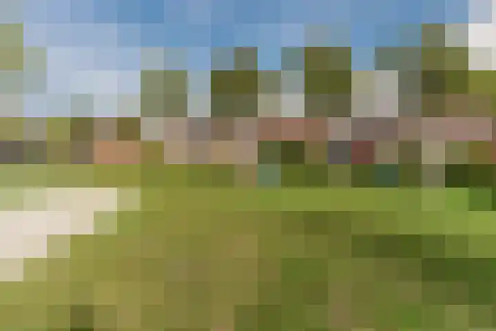 Wolvendonk 47 Oosterhout thumbnail 36