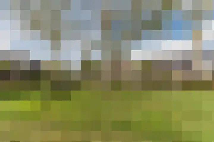 Wolvendonk 47 Oosterhout thumbnail 37