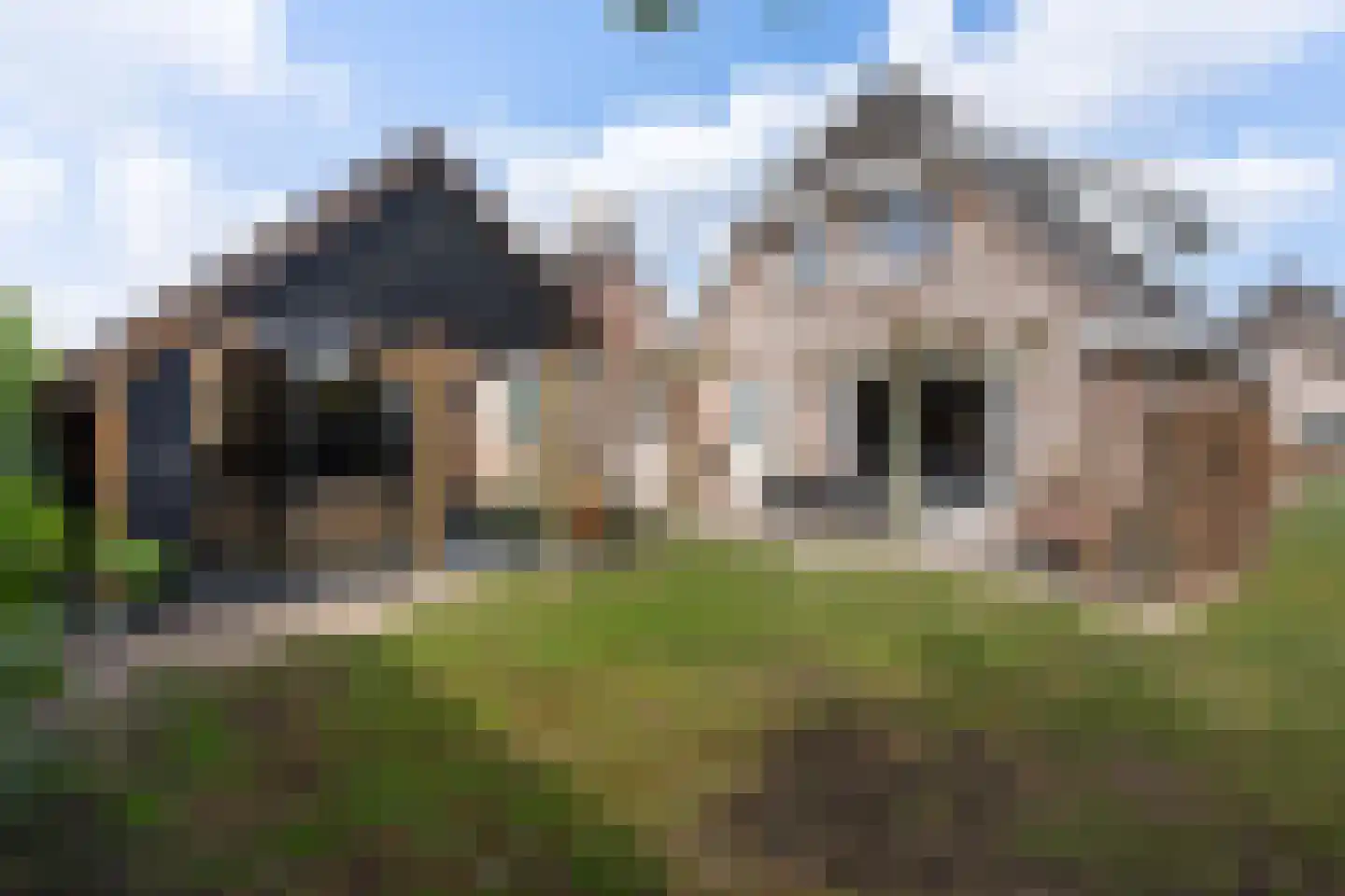 Wolvenhaar 12 Nieuw-Balinge thumbnail 33