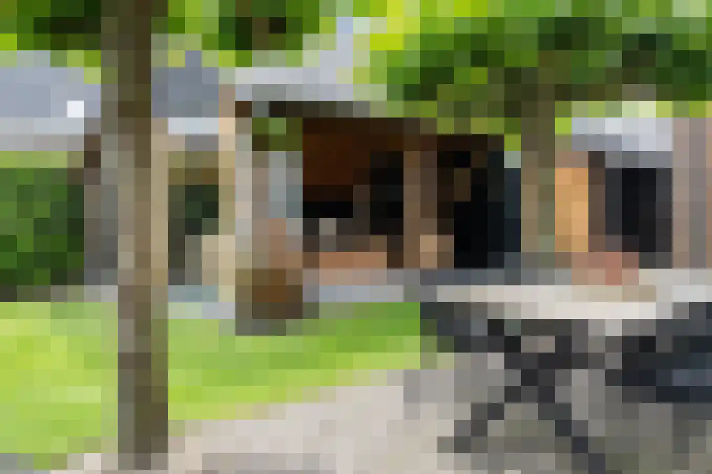 Wolvenhaar 12 Nieuw-Balinge thumbnail 36