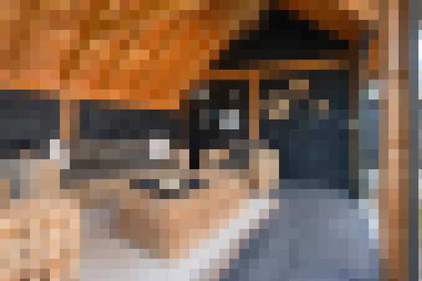 Wolvenhaar 12 Nieuw-Balinge thumbnail 37