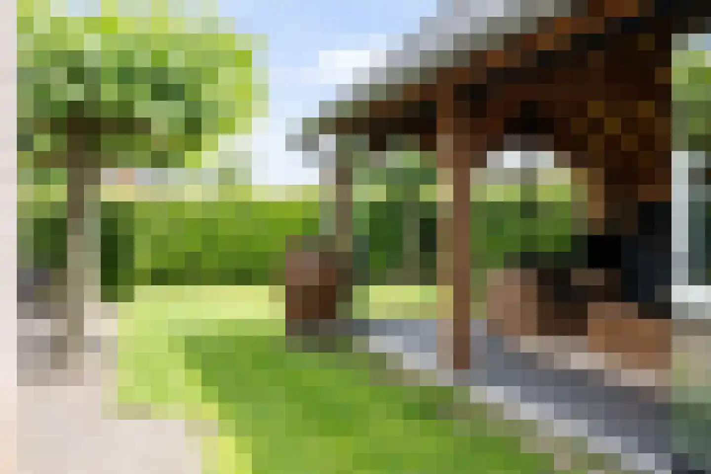 Wolvenhaar 12 Nieuw-Balinge thumbnail 37