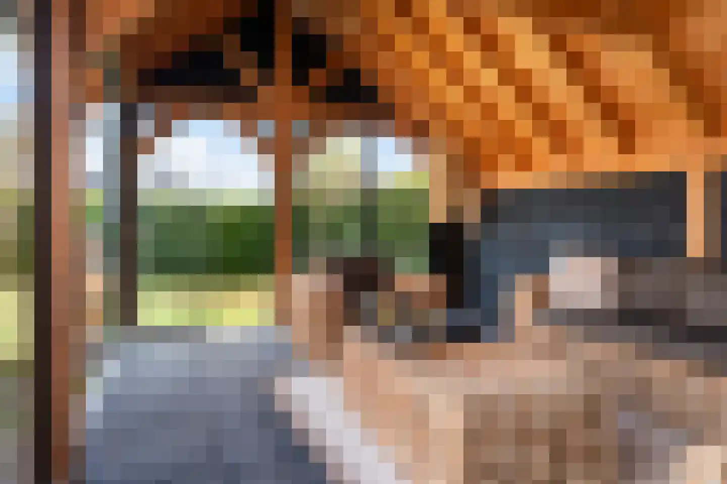 Wolvenhaar 12 Nieuw-Balinge thumbnail 38
