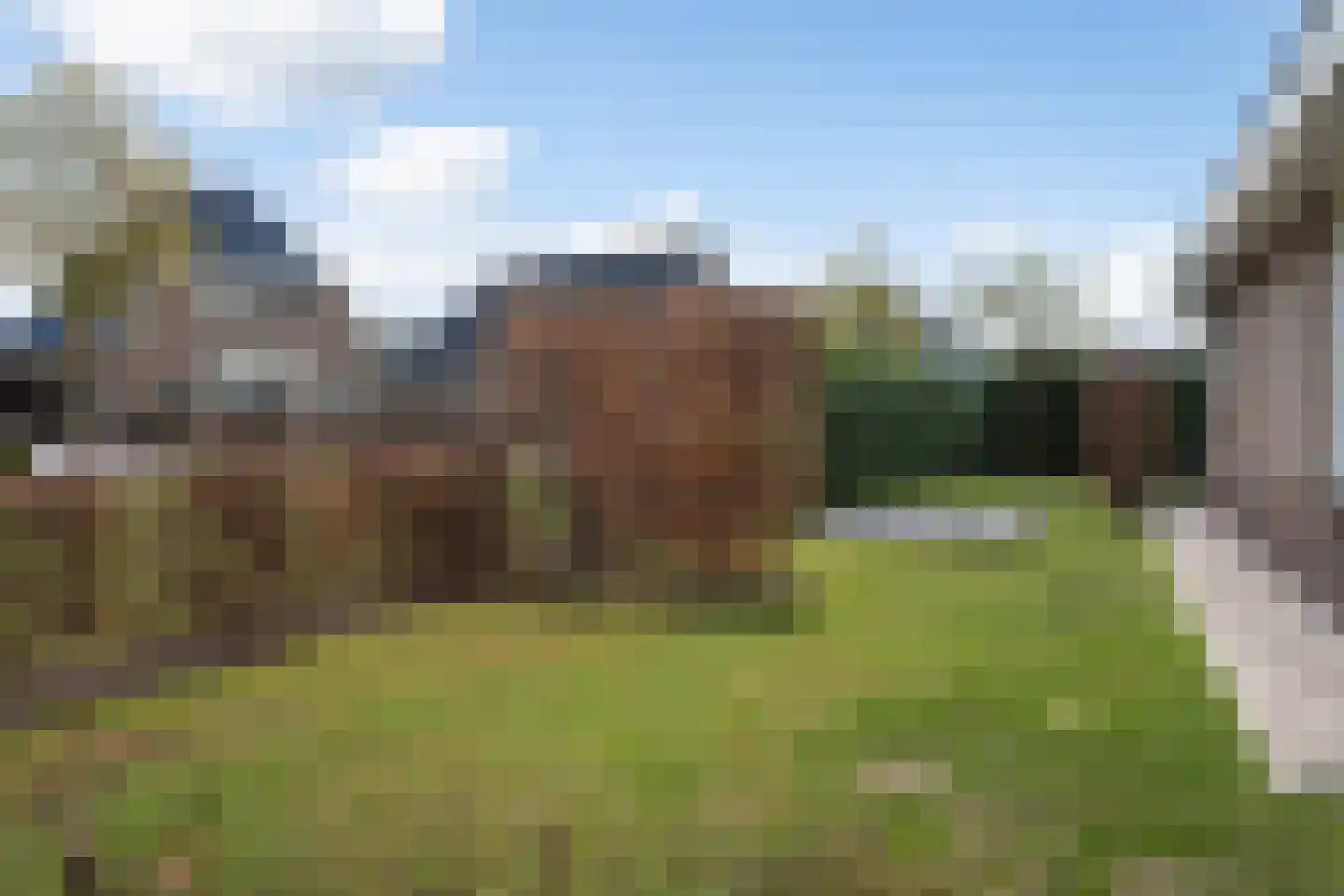 Wolvenhaar 12 Nieuw-Balinge thumbnail 40